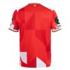 Virallinen Fanipaita FSV Mainz 05 Special 2025-26 - Miesten