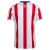 Virallinen Fanipaita Chivas de CD Guadalajara 120th Vuosipäivä 2025-26 - Miesten