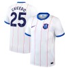 Virallinen Fanipaita Chelsea Caicedo 25 Kolmas Pelipaita 2026-27 - Miesten Virallinen Fanipaita Chelsea Caicedo 25 Kolmas Pelipaita 2026-27 - Miesten